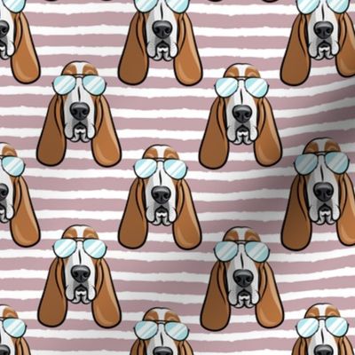 basset hound - sunnies - mauve stripes - dogs wearing sunglasses - LAD19