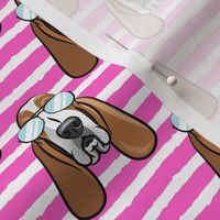 basset hound - sunnies - hot pink stripes - dogs wearing sunglasses - LAD19