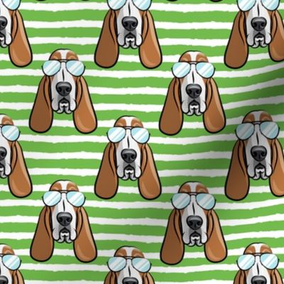 basset hound - sunnies - green stripes - dogs wearing sunglasses - LAD19