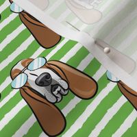 basset hound - sunnies - green stripes - dogs wearing sunglasses - LAD19