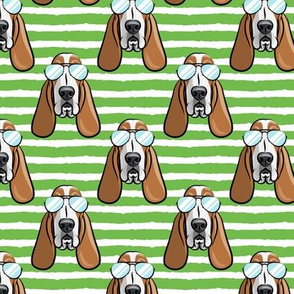 basset hound - sunnies - green stripes - dogs wearing sunglasses - LAD19