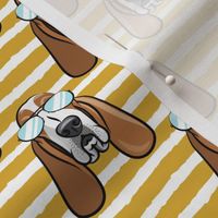 basset hound - sunnies - mustard stripes - dogs wearing sunglasses - LAD19