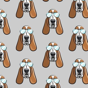 basset hound - sunnies - grey - dogs wearing sunglasses - LAD19