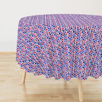 Red White And Blue Polka Dots Small