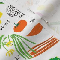 Fruit and Veg A - Z_ Multi color_White