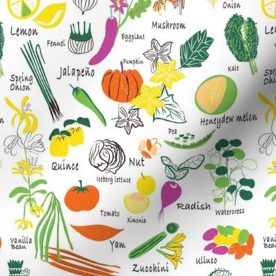 Fruit and Veg A - Z_ Multi color_White