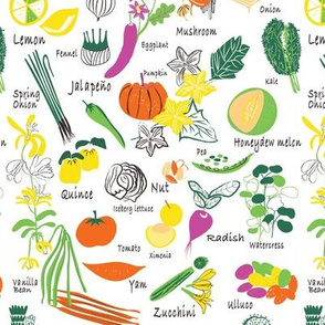 Fruit and Veg A - Z_ Multi color_White