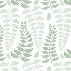 leaf fronds in sage greens on white