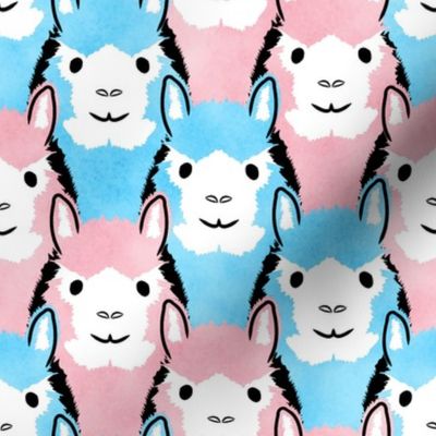 Alpaca pride - pink and blue