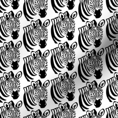 Zebra in Black and White