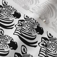 Zebra in Black and White