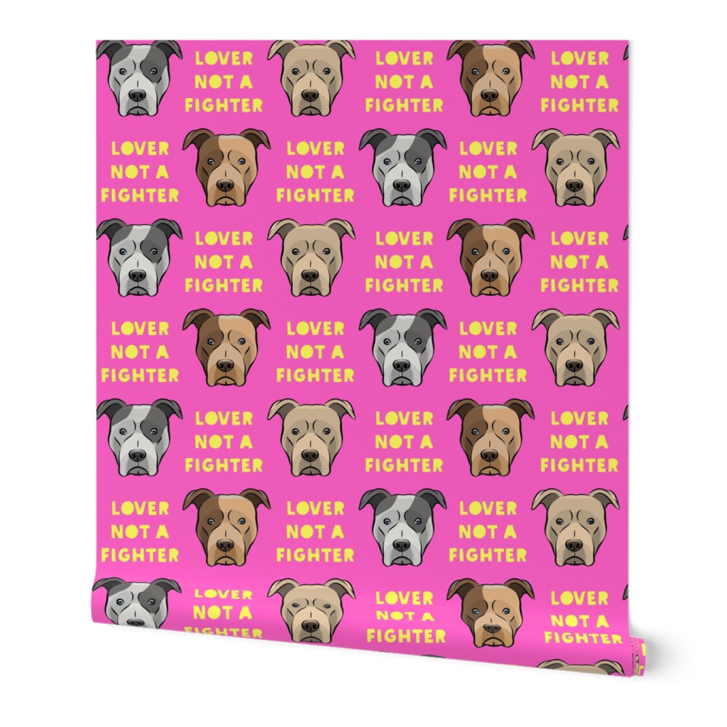 (3/4"  scale) lover not a fighter - pit bull on yellow (raspberry text) C19BS