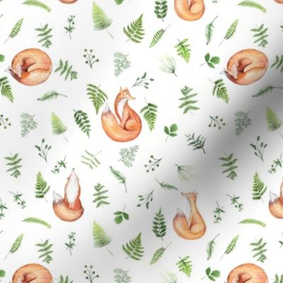 6" Woodland Animals fox FABRIC - Fern Fabric- animals in forest fabric - fox fabric