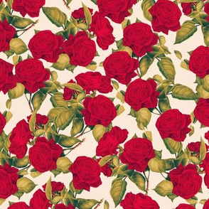 Red Roses On Cream