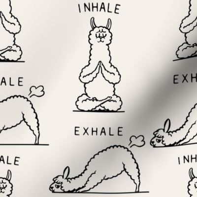  Inhale Exhale Llama