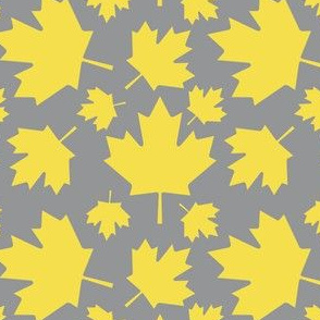 Maple Leafs in Pantone 2021 Yellow Leaves on Gray