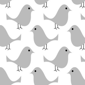 Grey Birds