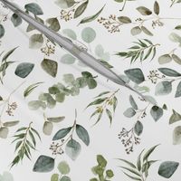 Earth Tone Eucalyptus Botanical // White