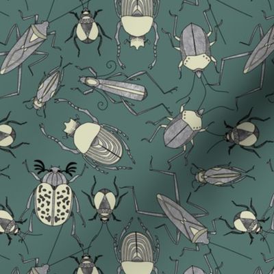 Vintage beetles on teal