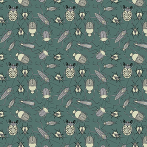 Vintage beetles on teal