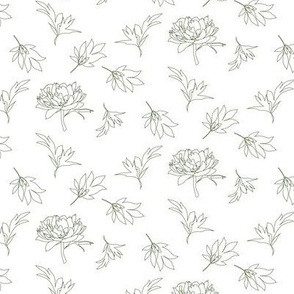 peony foliage dark green on white