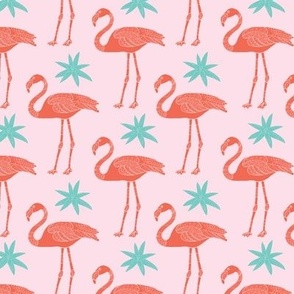Coral flamingos