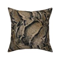 Clouded Leopard Fur Print