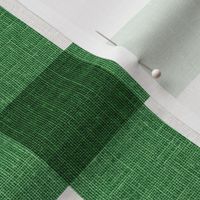 preppy christmas Gingham Grass Green linen texture