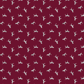 Maroon Dogs