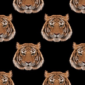 Wildcat Tiger Head Black Background