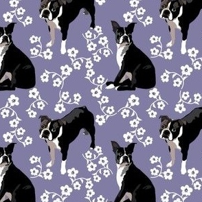 small print //  Sandy's Boston Terrier Dogs lavender white flowers
