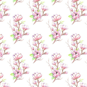 Girly Magnolias