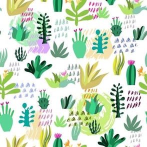 Cactus pattern