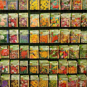 seed packets 1