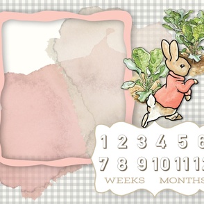 Beatrix Potter Peter Rabbit Growth Blanket in PINK