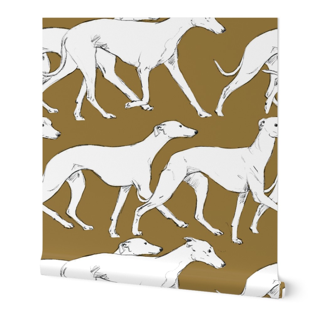 White Whippets on brown