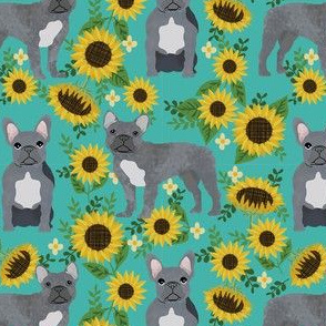 french bulldog sunflower fabric - frenchie fabric, grey french bulldog, grey frenchie fabric, sunflower fabric, cute dog fabric -  turquoise
