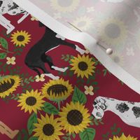 great dane sunflowers fabric - great dane fabric, dog fabric, sunflowers fabric, great danes fabric, cute dog - marroon