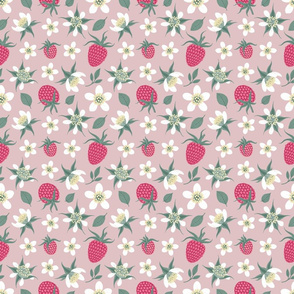 Raspberry 3 pink
