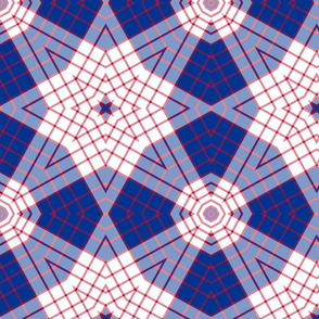 The Red and the Blue: Star Plaid - LARGE 