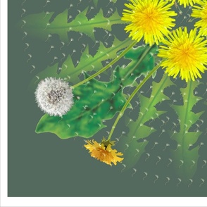 Dandelion 30-Inch