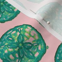 Green and Pink Sand Dollar