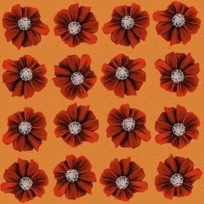 Xeroxed Zinnias (medium-scale)—orange