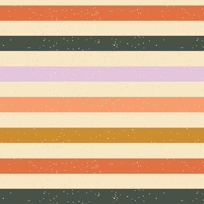 Retro Rainbow Stripe