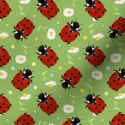 Ladybugs and daisies