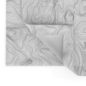 contour map (charcoal)