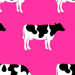 (large scale) cows on hot pink - farm fabric C19BS