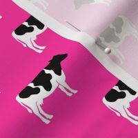 cows on hot pink - farm fabric C19BS