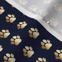 gold paw print on navy small print dog collar dog leash