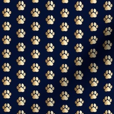 gold paw print on navy small print dog collar dog leash